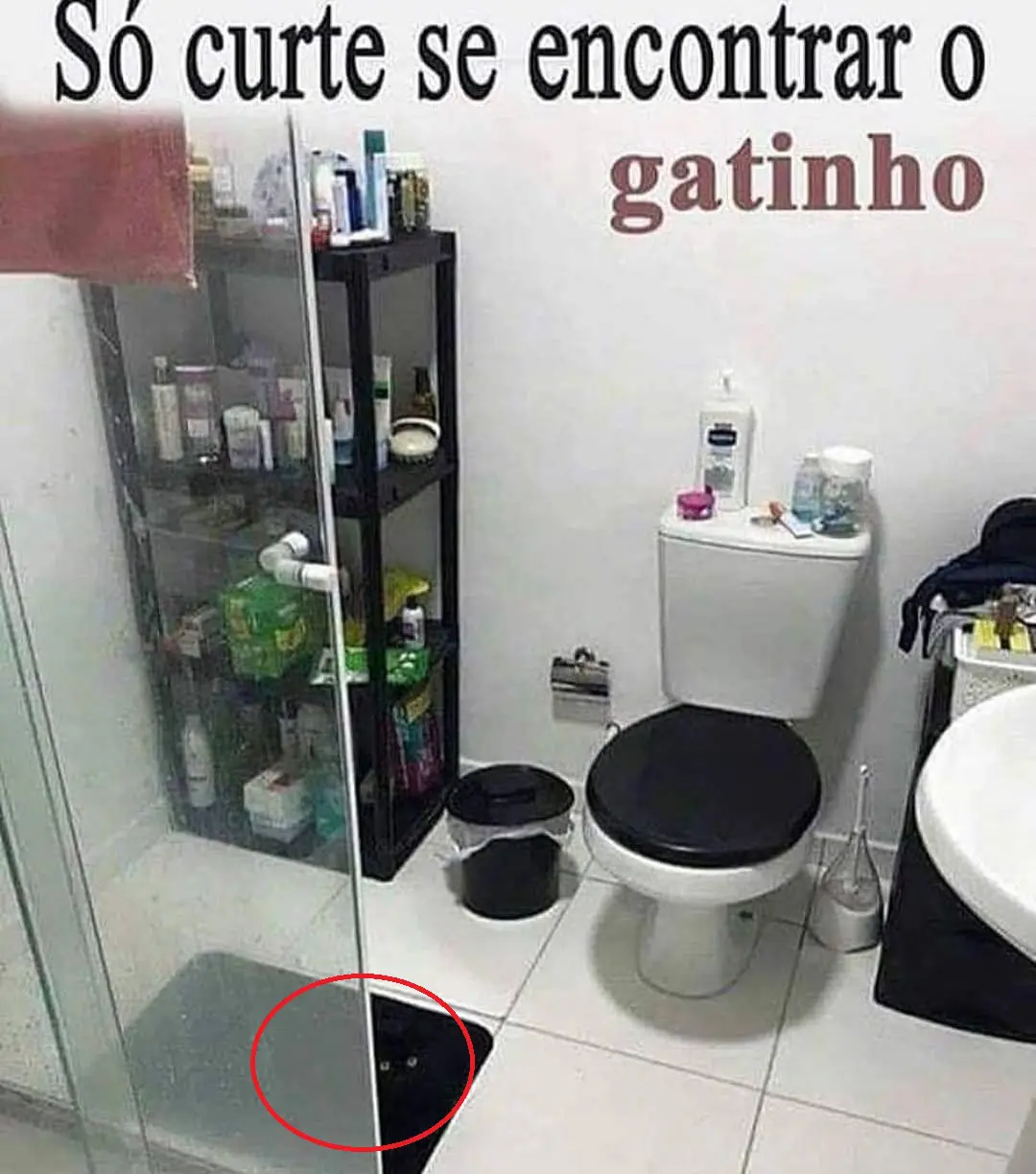 Resposta Encontre o Gatinho no Banheiro