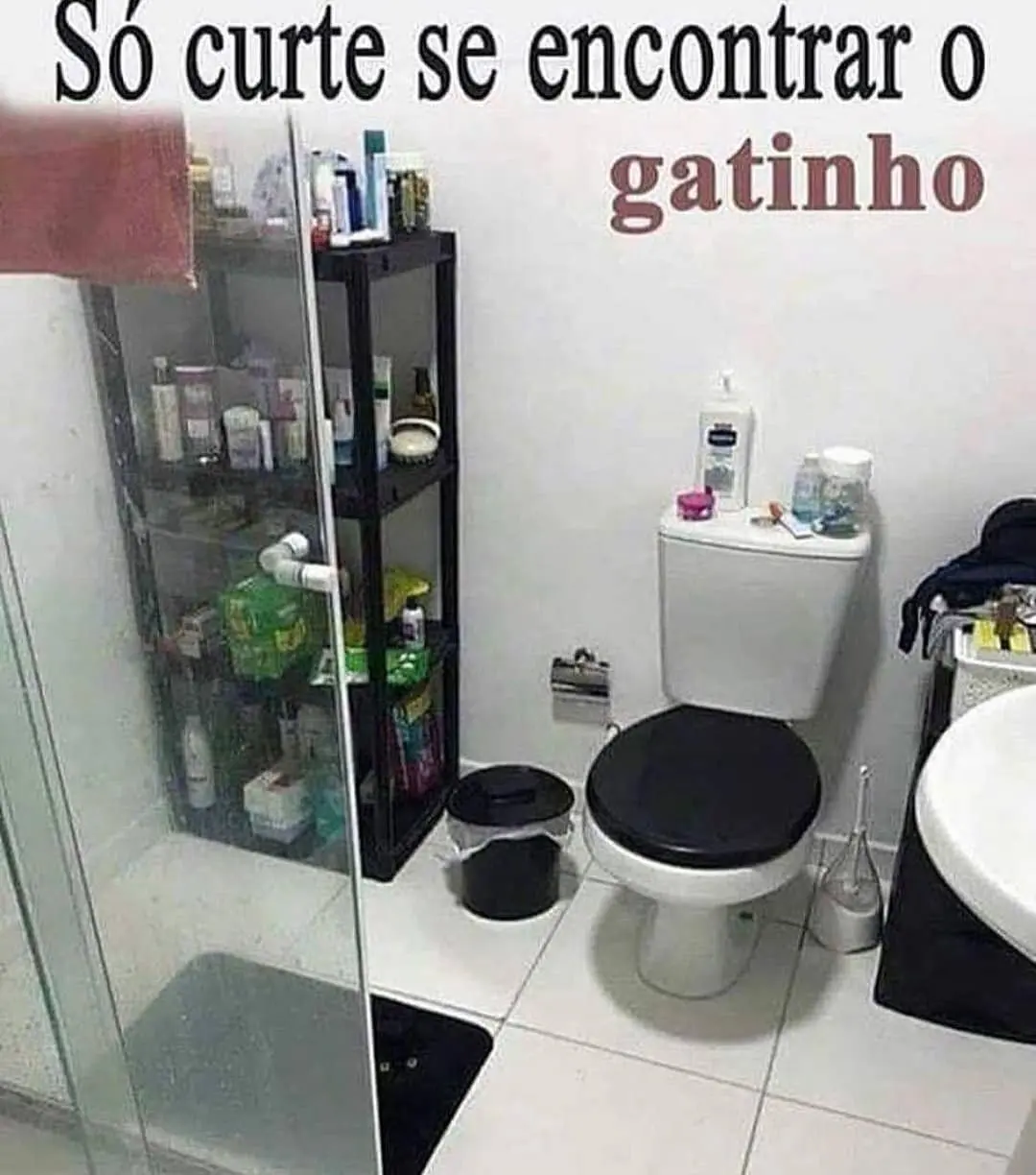 Encontre o Gatinho no Banheiro