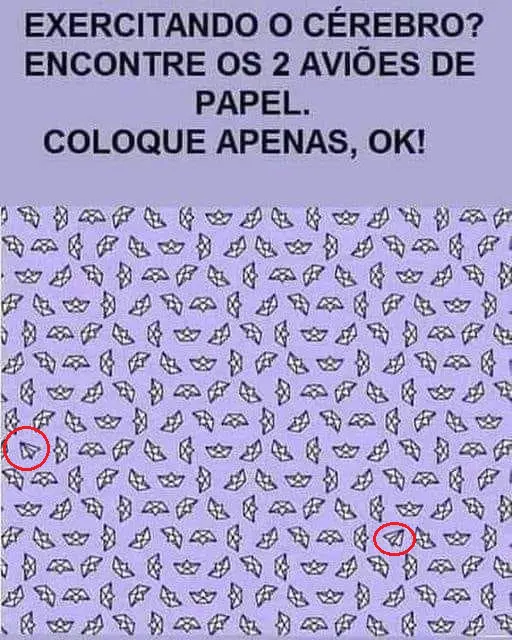 Resposta Encontre os 2 Aviões de Papel