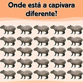 Ache a Capivara Diferente