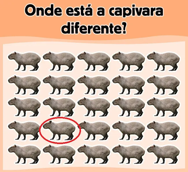 Veja a Resposta de Ache a Capivara Diferente