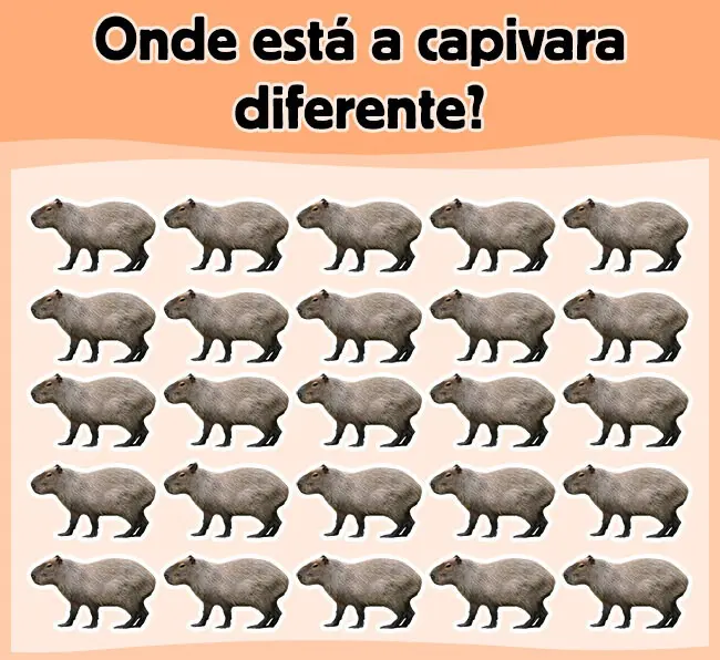 Ache a Capivara Diferente