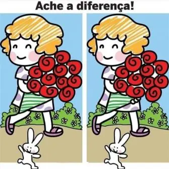 Desafio Visual Ache a Diferença: O Buque de Rosas