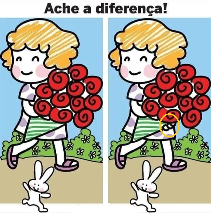 Veja a Resposta: Ache a Diferença: O Buque de Rosas