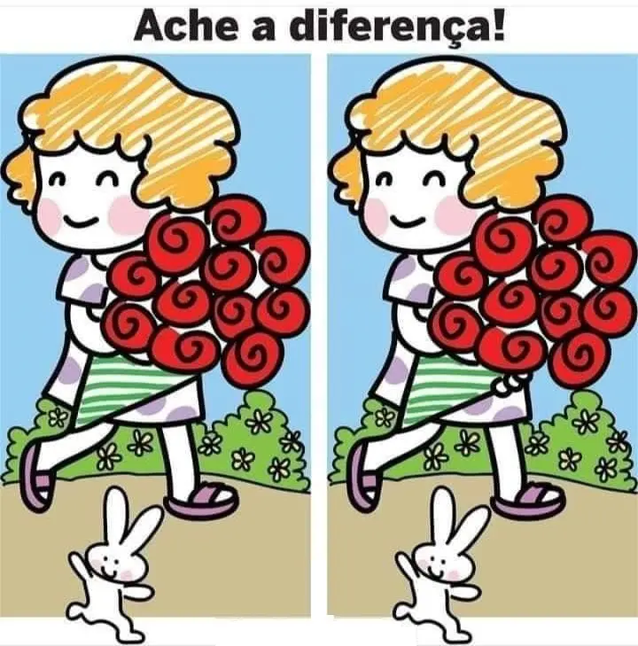 Ache a Diferença: O Buque de Rosas