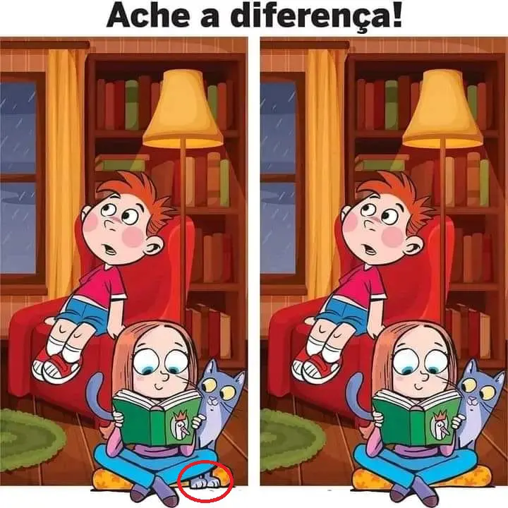 Veja a Resposta Ache a Diferença: Os Irmãos e o Gato