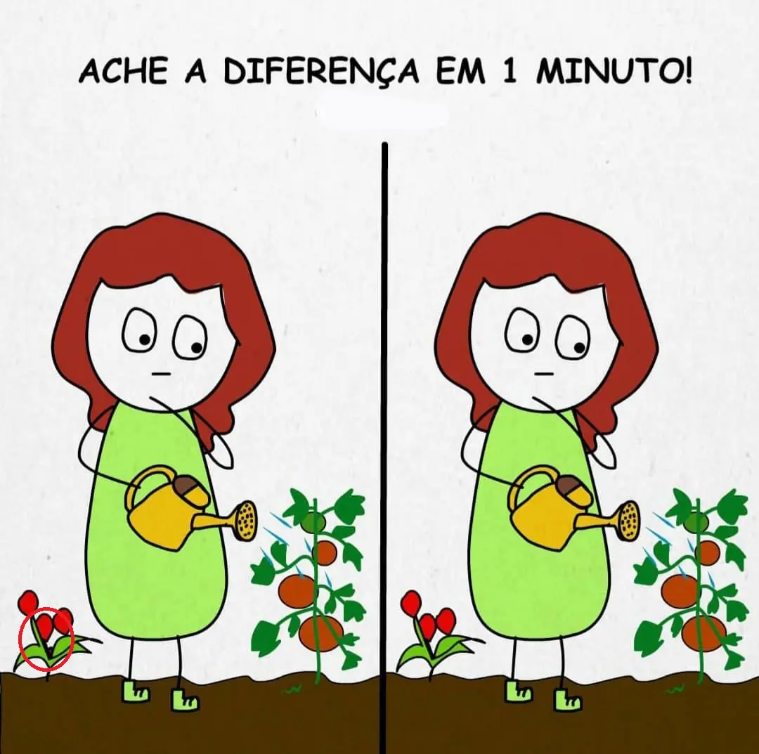 Veja a Resposta Ache as Diferenças: A Menina Regando as Plantas