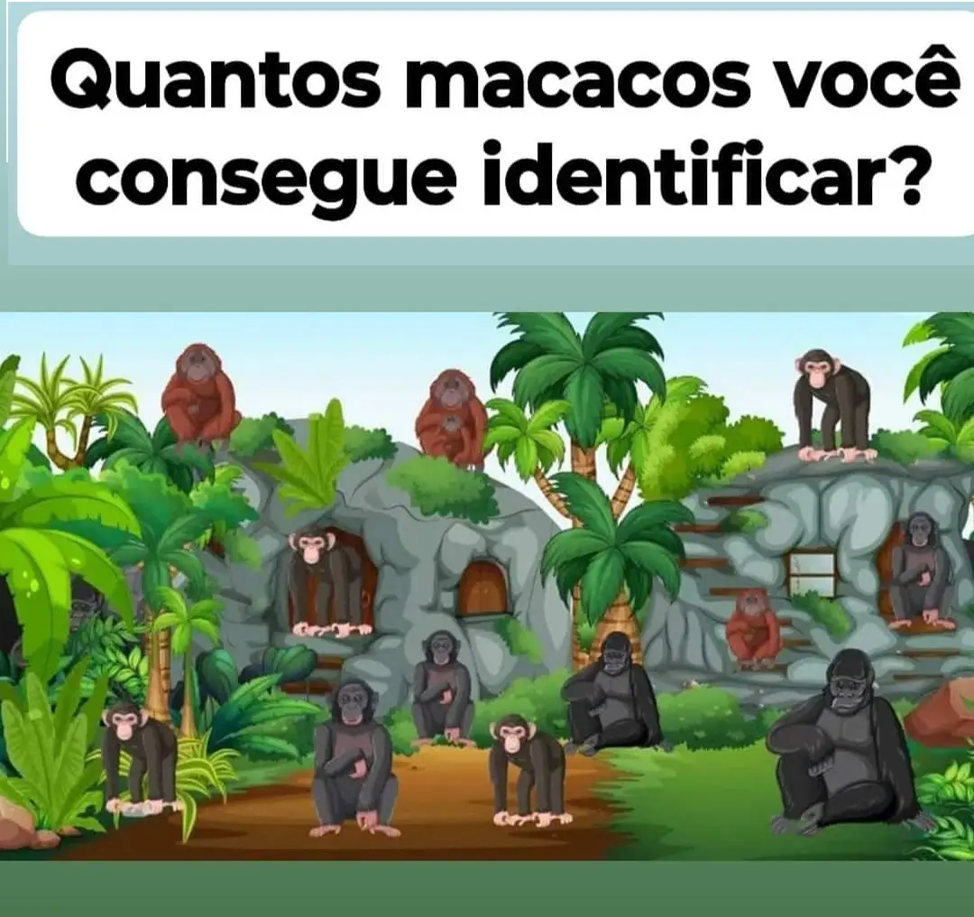 Quantos Macacos Você Consegue Ver?