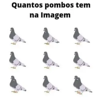 Desafio Visual Veja a Resposta Quantos Pombos tem na Imagem?