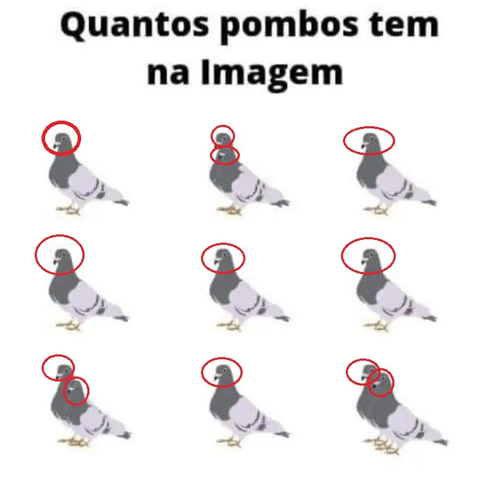 Veja a Resposta Quantos Pombos tem na Imagem?