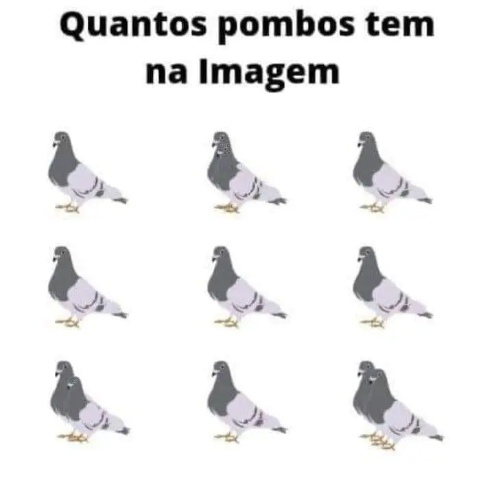 Quantos Pombos tem na Imagem?