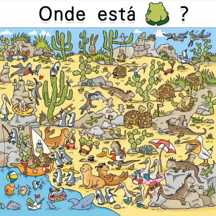 Onde Está o Sapo?