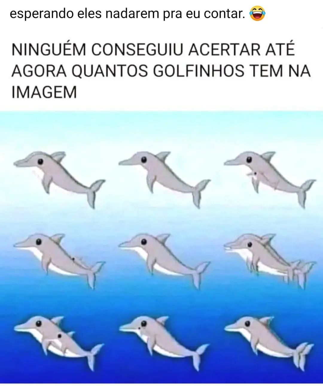 Quantos Golfinhos Tem na Imagem?