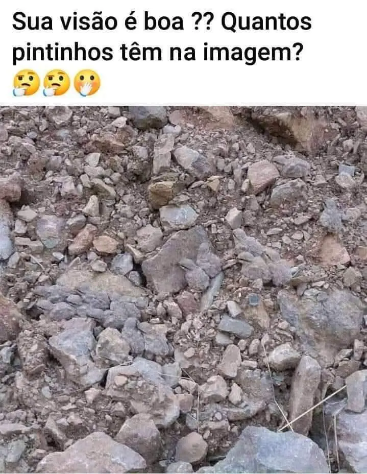 Quantos Pintinhos Tem na Imagem