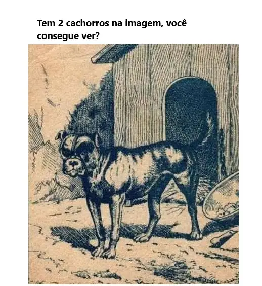 Tem 2 Cachorros Na Imagem Você Consegue Ver?