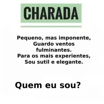 Charada: O Segredo da Elegância