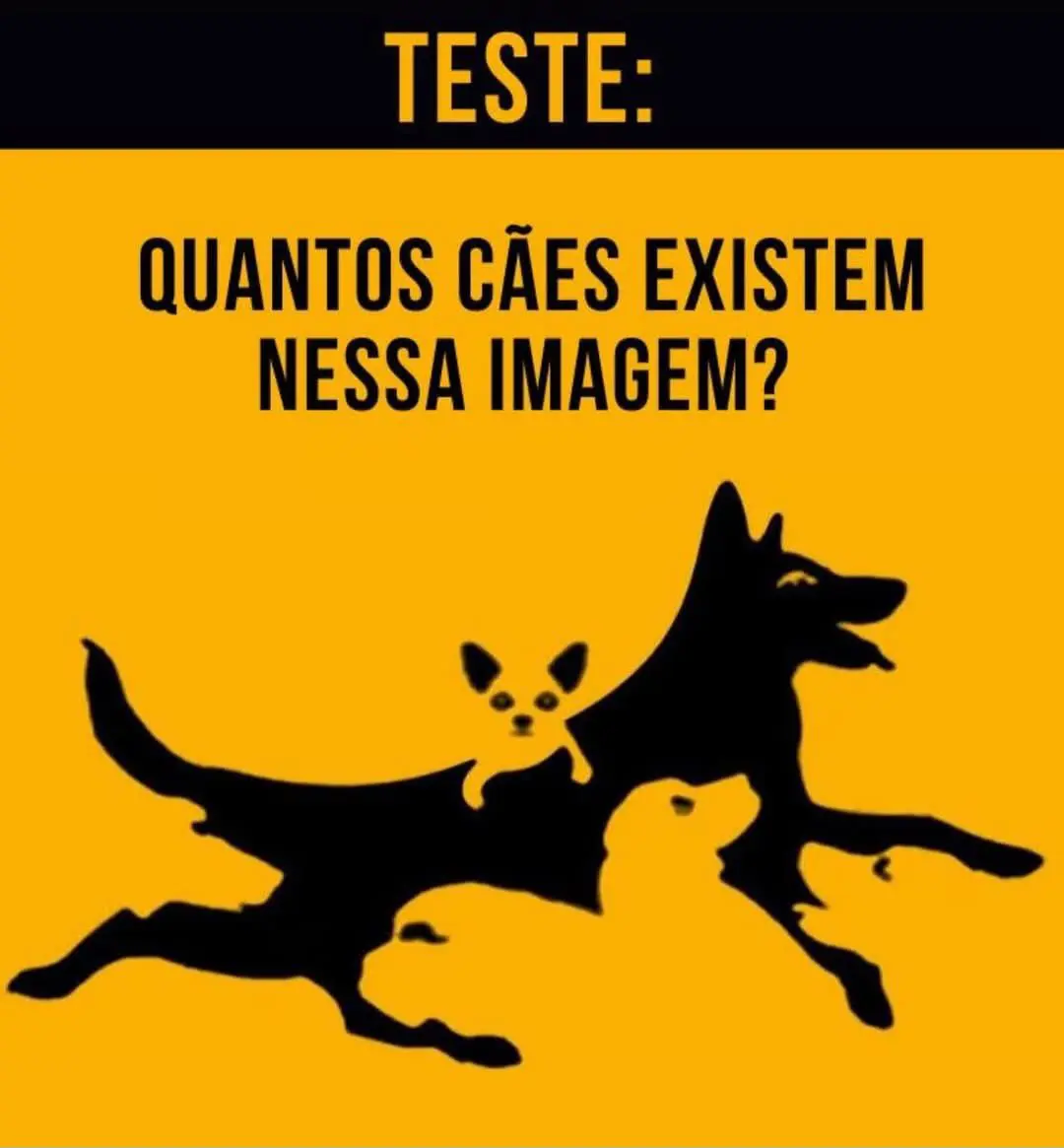 Teste: Quantos Cães Você Vê na Imagem?