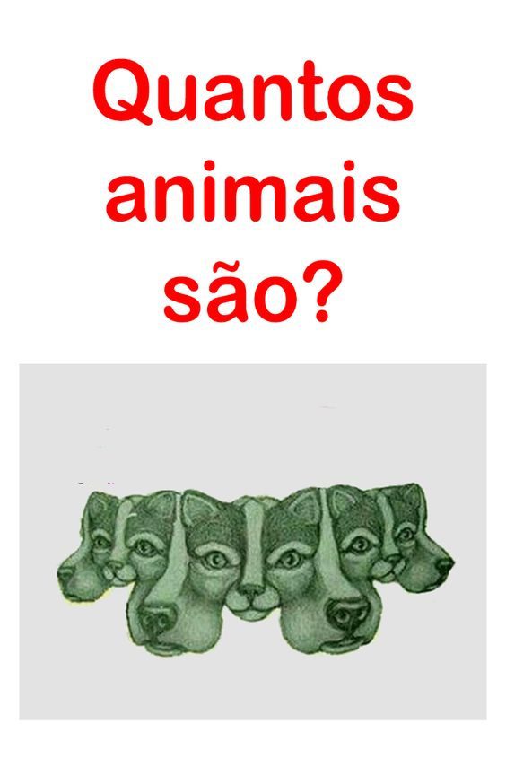 Desafio e Curiosidade - Quiz sobre os animais - Perguntas e respostas  -Batata Quiz 