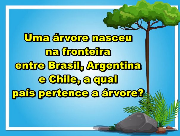 Um árvore nasceu na fronteira Entre Brasil Argentina e Chile