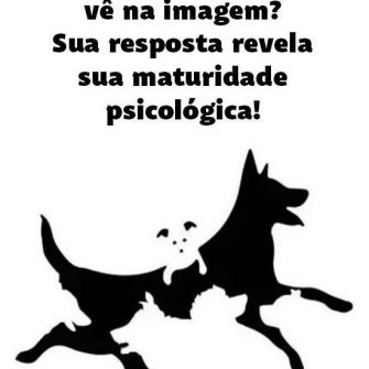 Teste dos cães