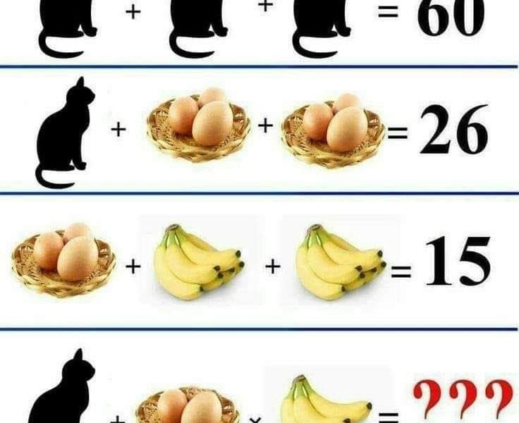 Gatos ovos e bananas