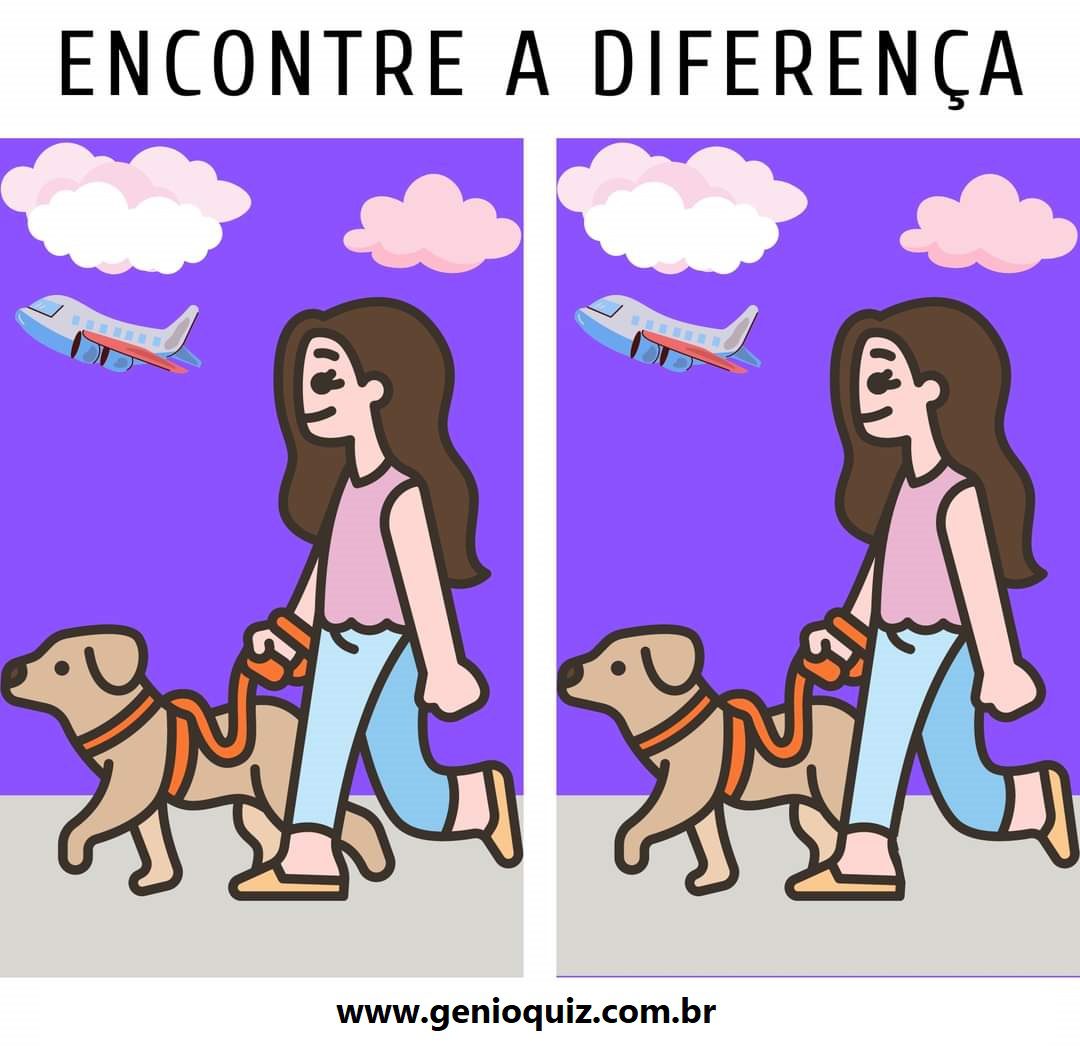 Encontre a Diferença: Passeando com o Doguinho