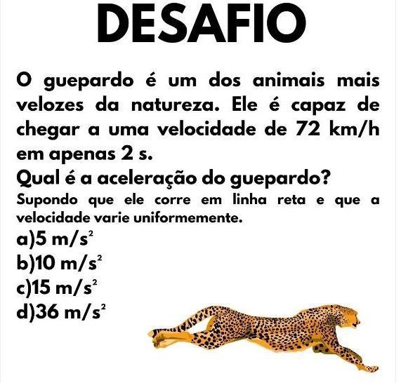 Desafio Quiz - Animais e Natureza