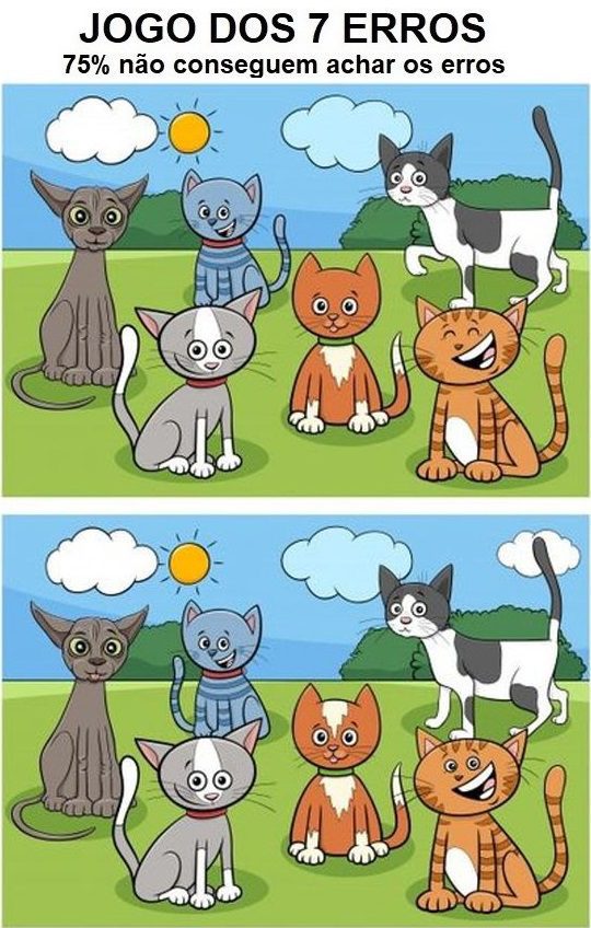 Encontre jogo de diferenças com gatos e cachorros