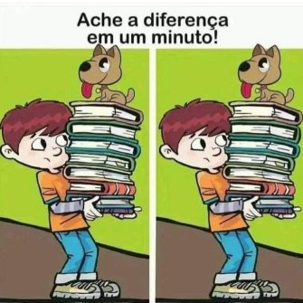 Ache a Diferenca em 1 Minuto O Menino dos Livros