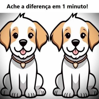 Ache a diferenca em 1 minuto o cachorro fofinho