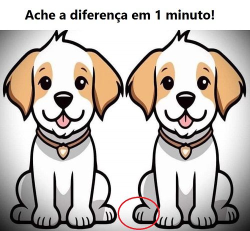 Ache a Diferença: O Cachorro Fofinho - Resposta