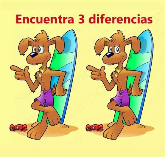 Encontre 3 Diferenças - O Cachorro Surfista