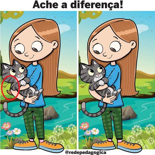 Resposta Ache a Diferença: O Abraço Felino