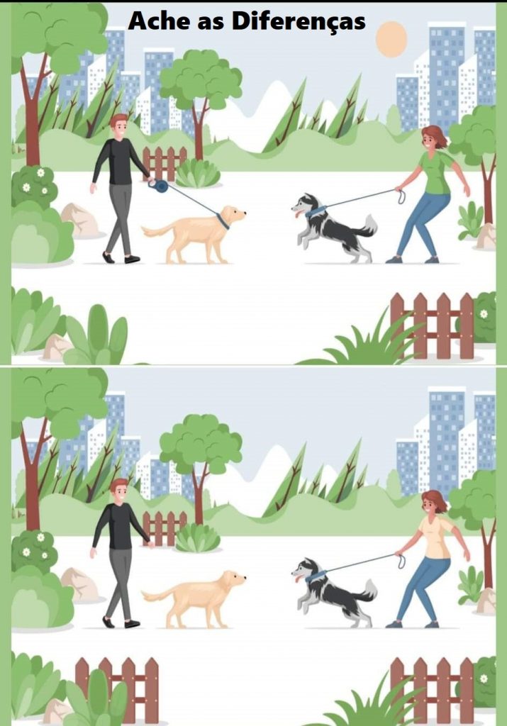 Ache as Diferenças: Os Cachorros no Parque