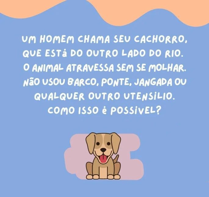 Um homem chama seu cachorro que está do outro lado do rio...