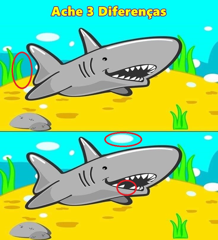 Resposta Ache 3 Diferenças: O Tubarão