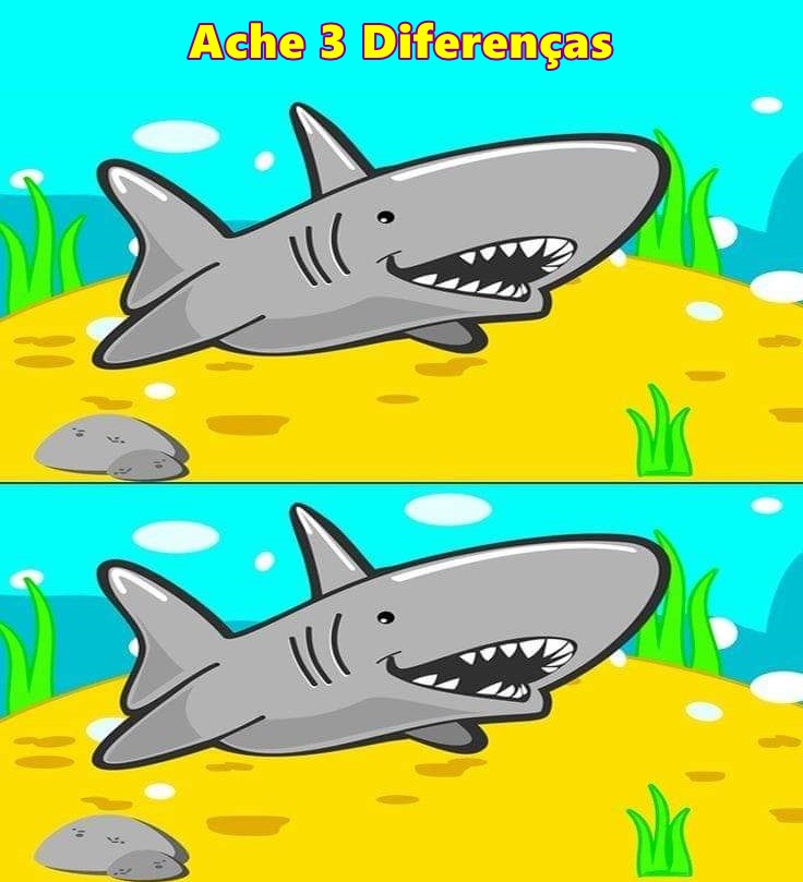 Ache 3 Diferenças: O Tubarão