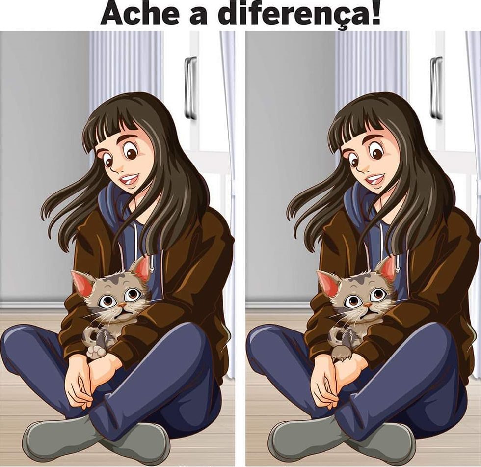 Ache a Diferença: O Gatinho Fofinho