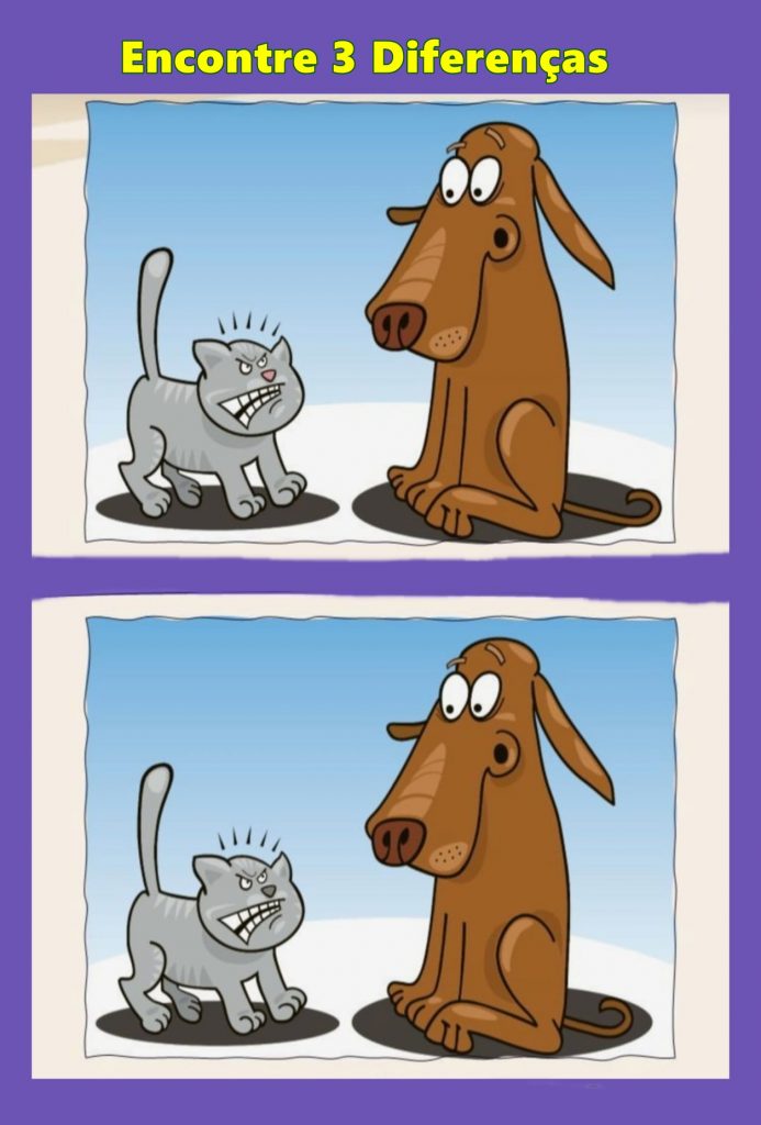 Encontre 3 Diferenças: Cão e Gato