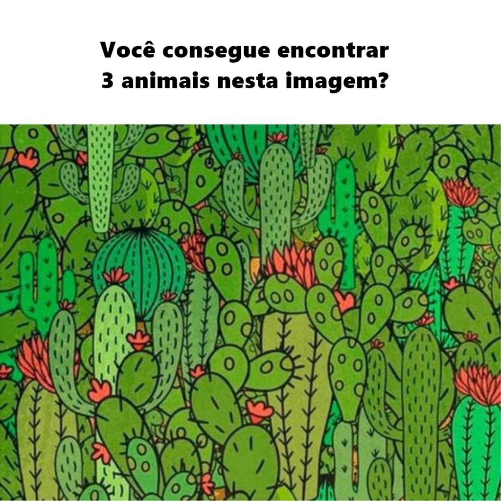 Você consegue encontrar 3 animais nesta imagem?