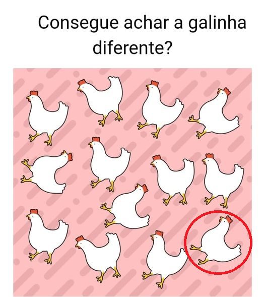 Jogo da galinha 🐔