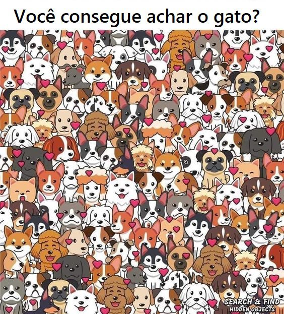 Quiz do Gatinho - Jogo Gratuito Online