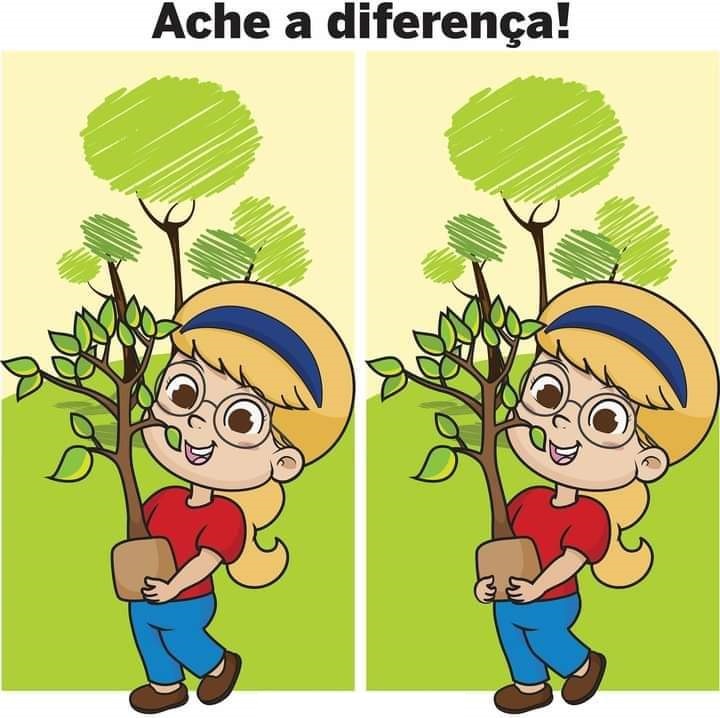 Ache a Diferença: A Muda de Árvore