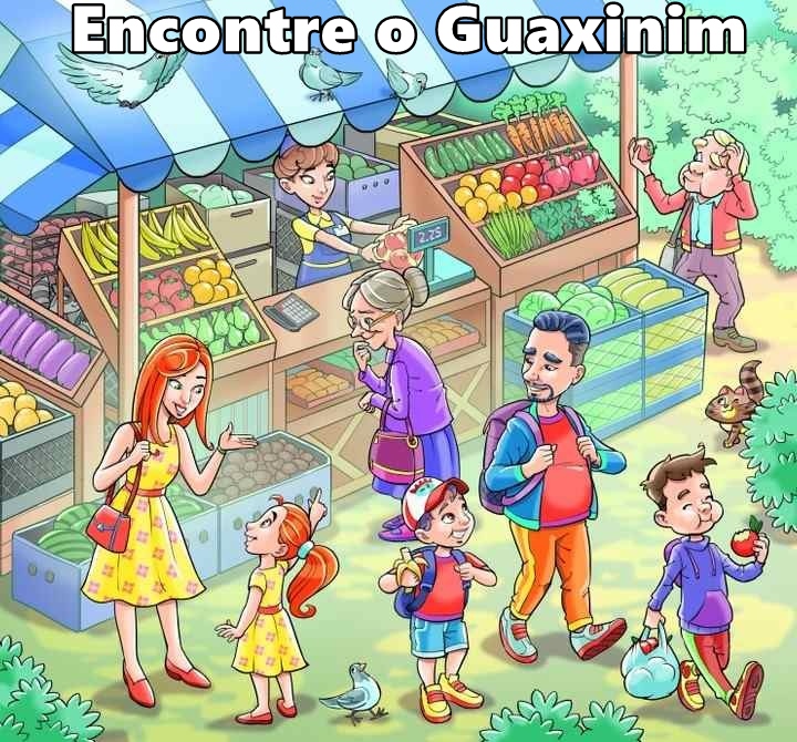 Encontre o Guaxinim