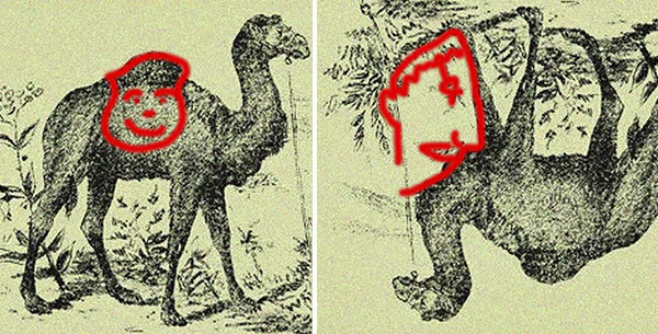 Resposta Ache os donos do camelo que estão escondidos na imagem