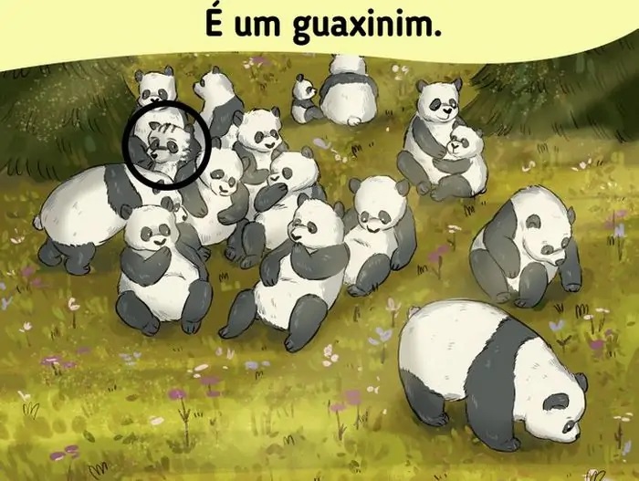 Resposta ache o impostor entre os pandas