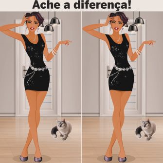 Ache a Diferenca A Mulher Elegante