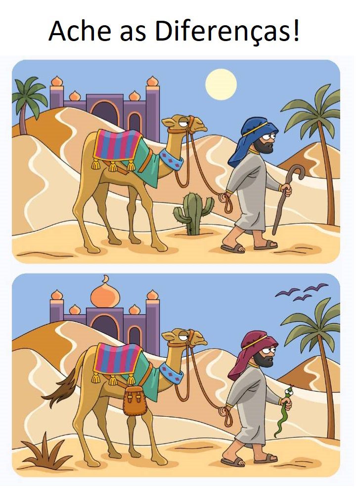 Ache as Diferenças: O Árabe e o Camelo