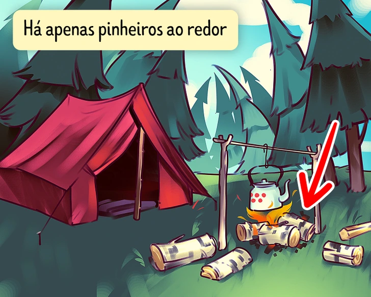 Resposta Ache o Erro: O Acampamento