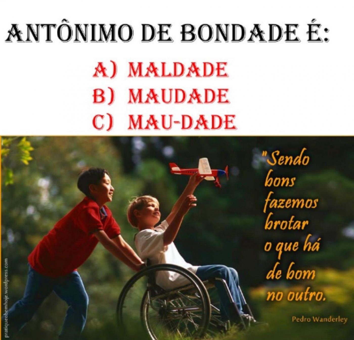 Português: O Antônimo de Bondade é?